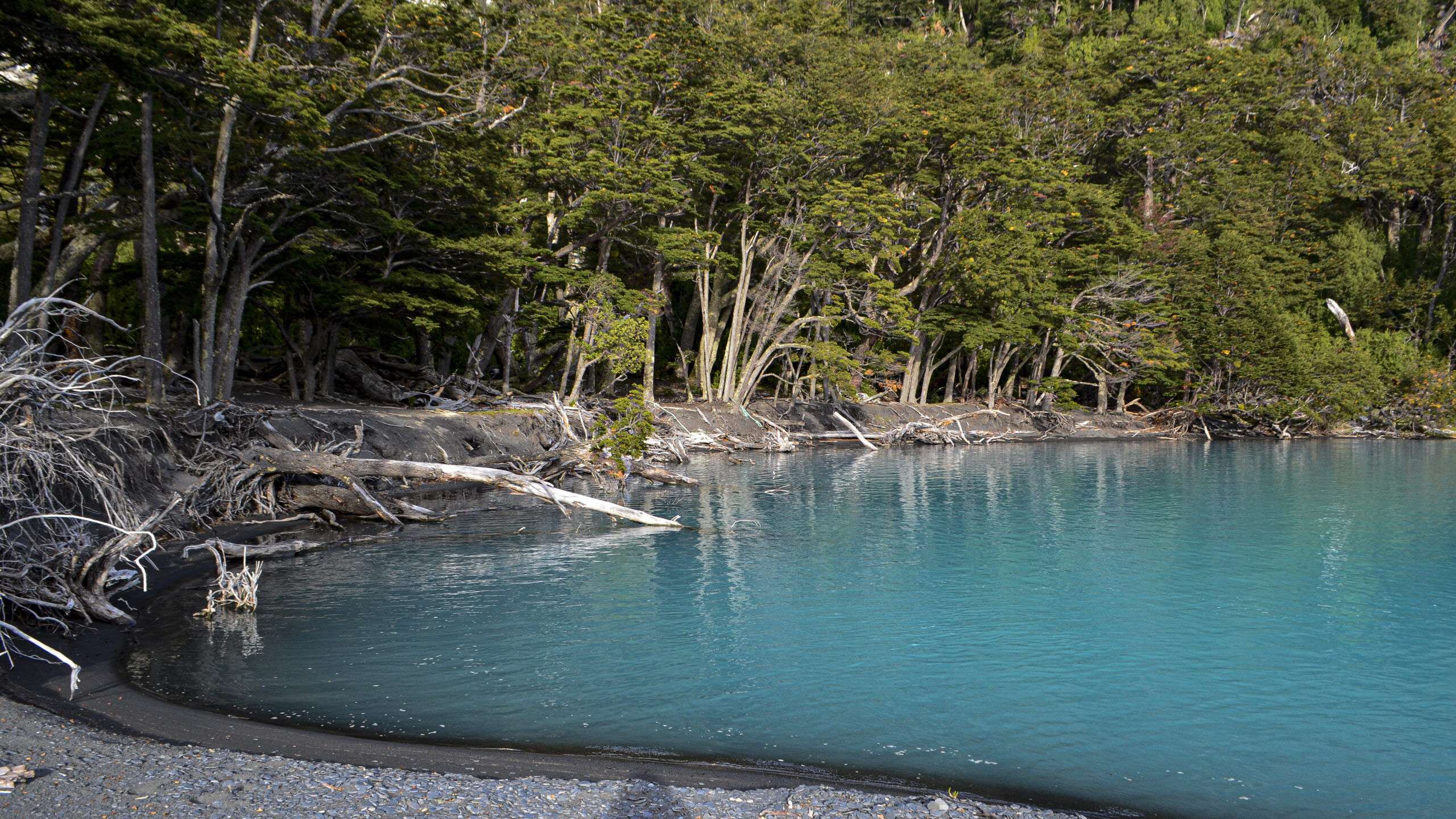 El Calafate e Ushuaia. Uma experiência fascinante na neve. - Omni Eventos